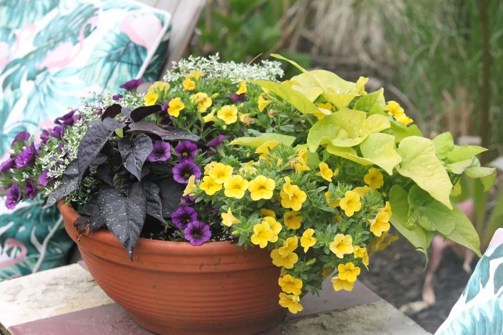 Affordable landscaping services in Framingham, MA by Madrona Brothers