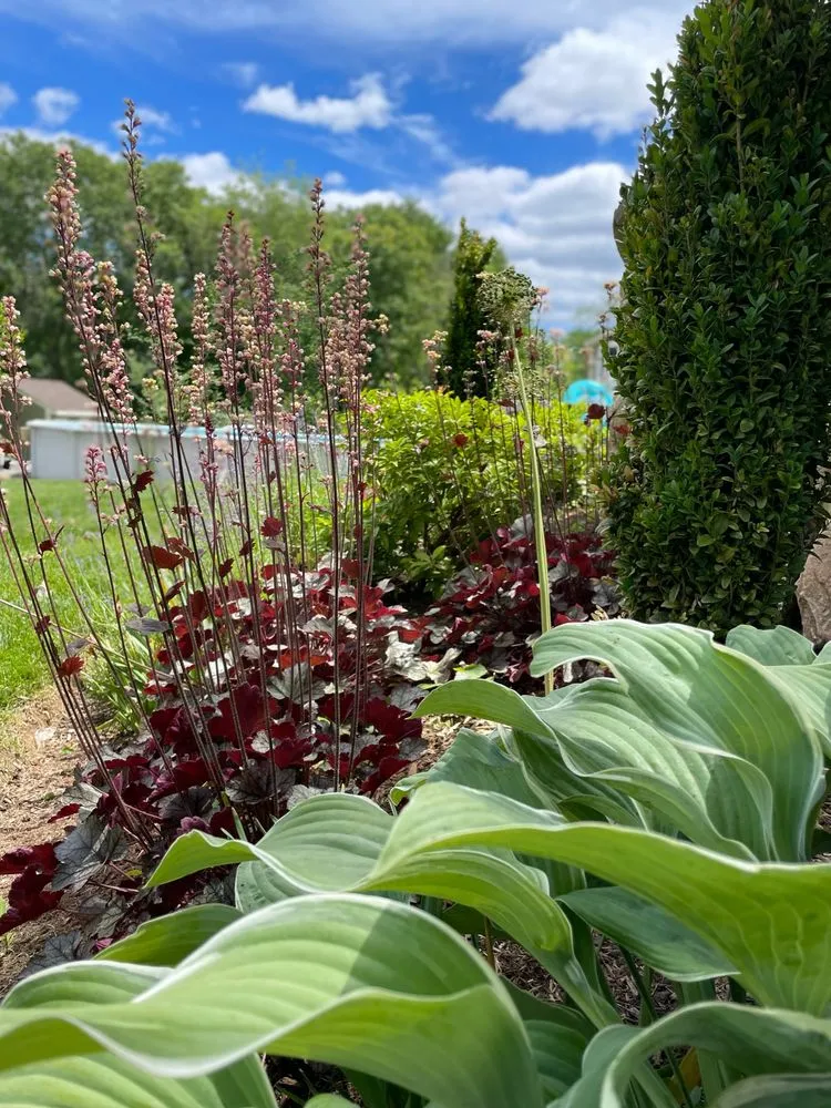 Local yard maintenance experts serving Framingham, MA - Madrona Brothers