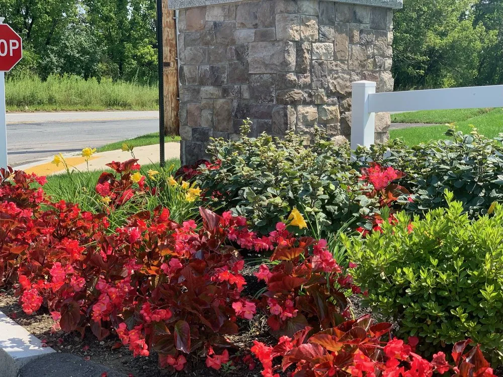 Local landscaping services in Framingham, MA by Madrona Brothers