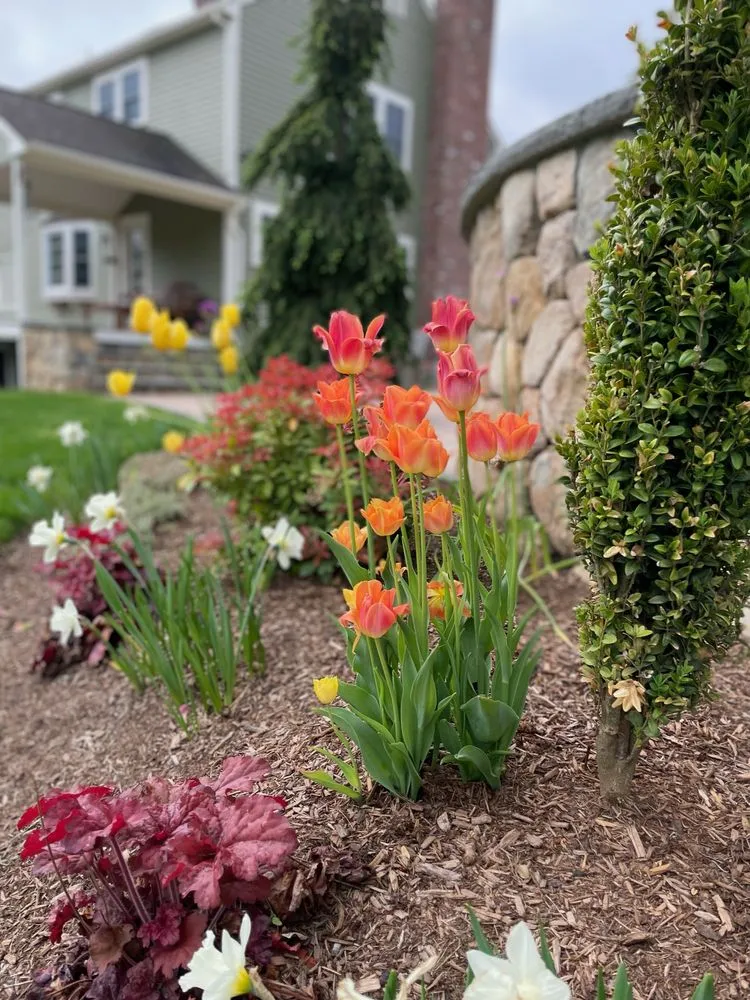 Expert residential landscaping in Framingham, MA - Madrona Brothers