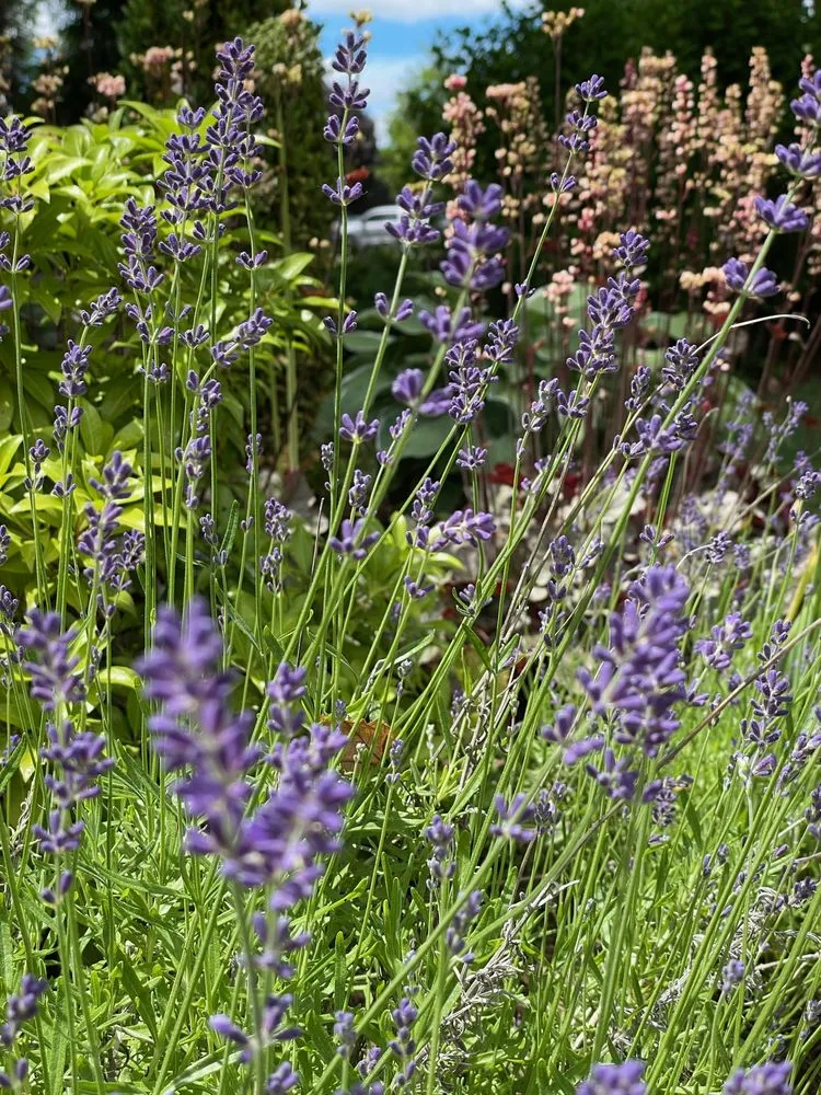 Trusted outdoor landscaping for outdoor upgrades in Framingham, MA by Madrona Brothers