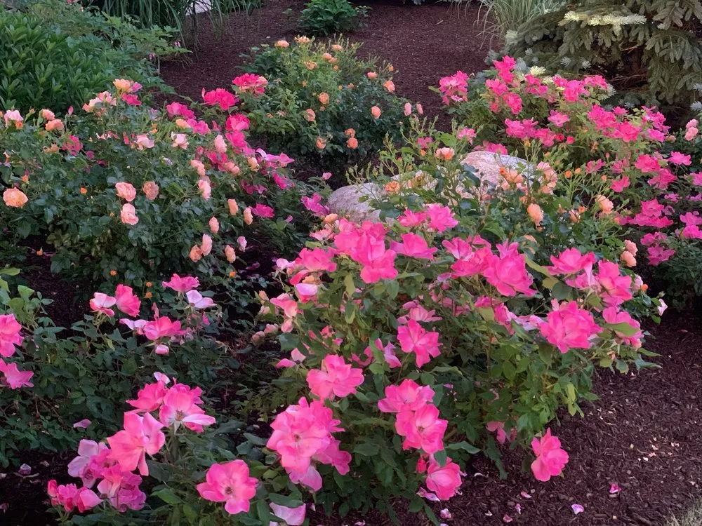 Reliable landscape installation for residential properties across Framingham, MA - Madrona Brothers