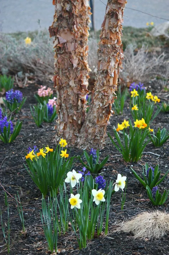 Top-rated garden landscaping in Framingham, MA - Madrona Brothers