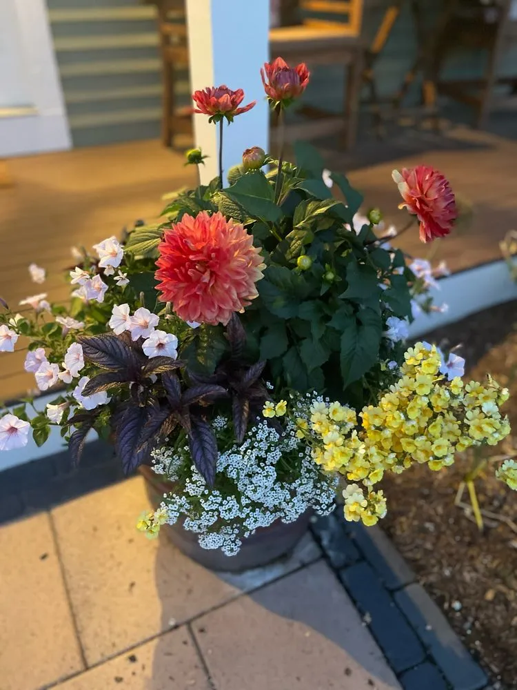 Reliable lawn mowing service for homes across Framingham, MA - Madrona Brothers