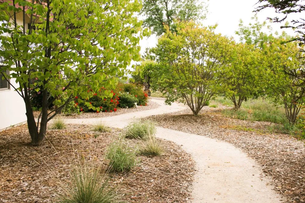 Trusted yard cleanup service in Atascadero, CA by Madrone Landscape