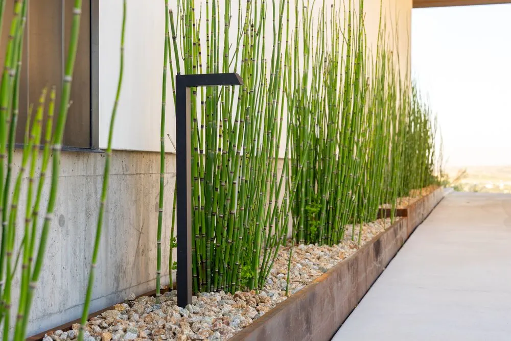 Trusted landscape design experts serving Atascadero, CA - Madrone Landscape