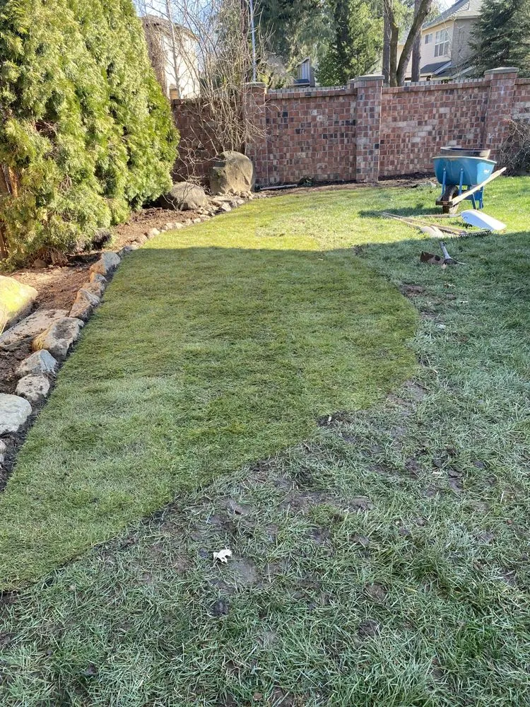 Local lawn care service experts serving Hillsboro, OR - Madrone Tree Service & Landscape Maintenance