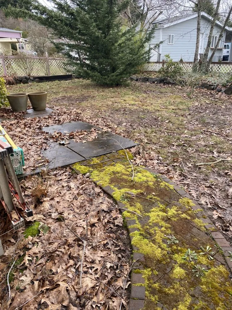 Expert garden landscaping with custom design in Hillsboro, OR by Madrone Tree Service & Landscape Maintenance