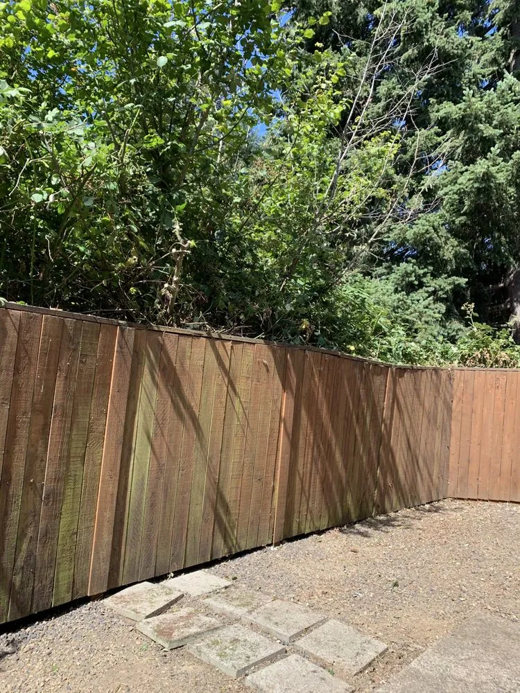 Trusted lawn mowing service in Hillsboro, OR by Madrone Tree Service & Landscape Maintenance