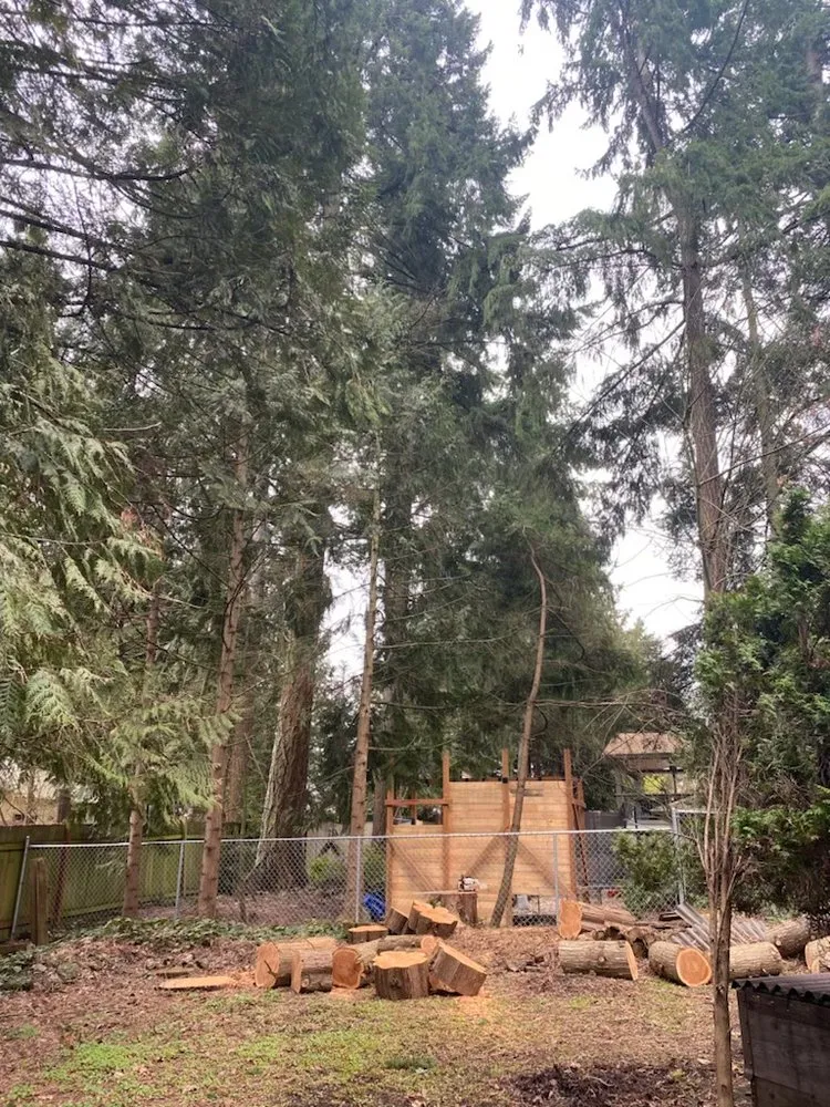 Reliable landscaping services for residential properties in Hillsboro, OR by Madrone Tree Service & Landscape Maintenance