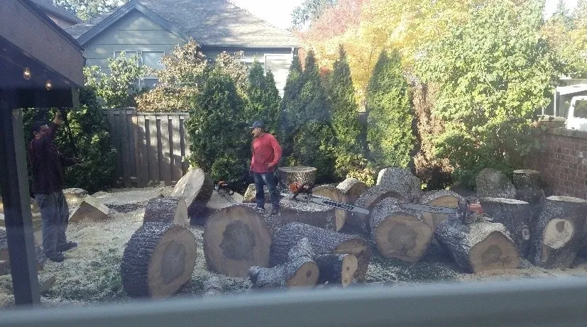 Local garden landscaping for residential properties across Hillsboro, OR - Madrone Tree Service & Landscape Maintenance