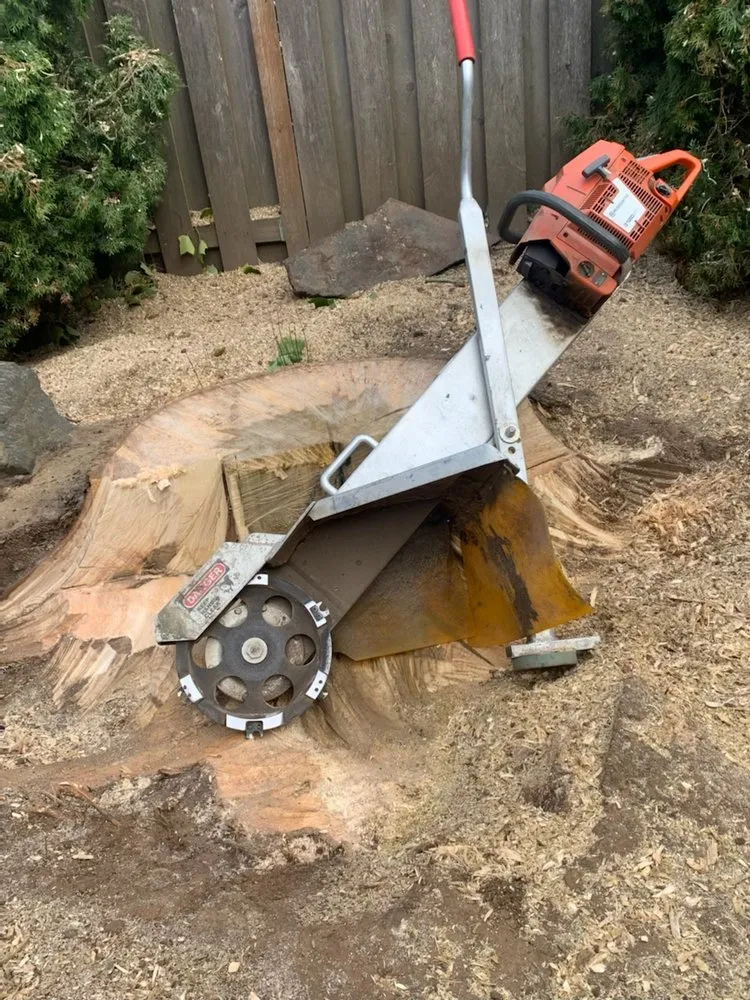 Trusted outdoor landscaping with custom design in Hillsboro, OR by Madrone Tree Service & Landscape Maintenance