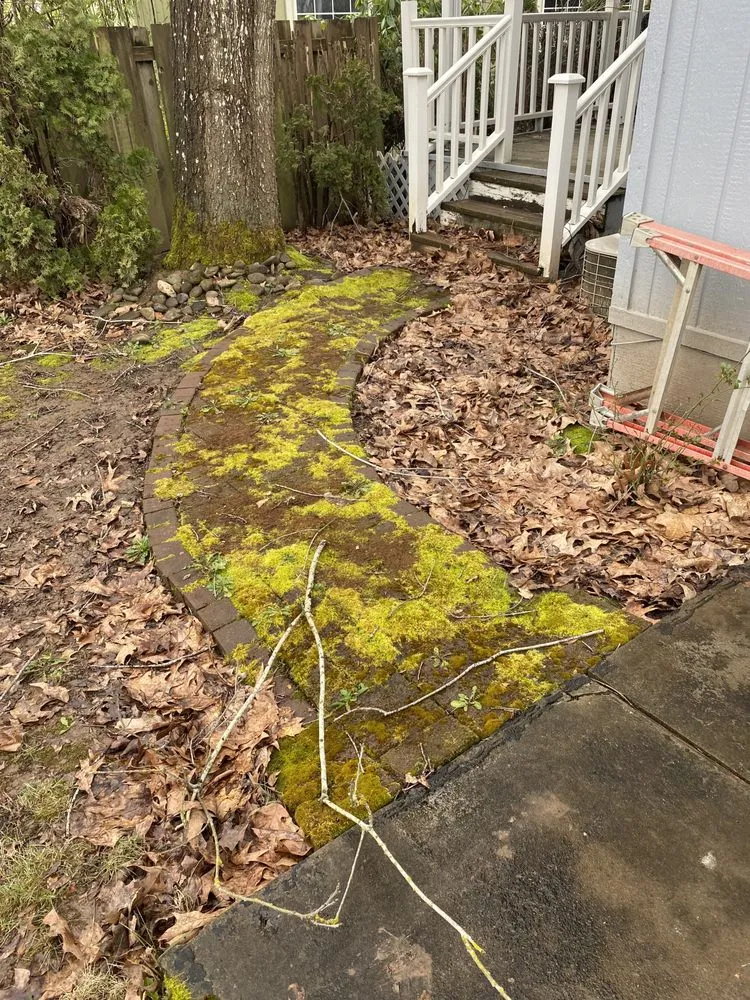 Custom landscape design for year-round maintenance across Hillsboro, OR - Madrone Tree Service & Landscape Maintenance