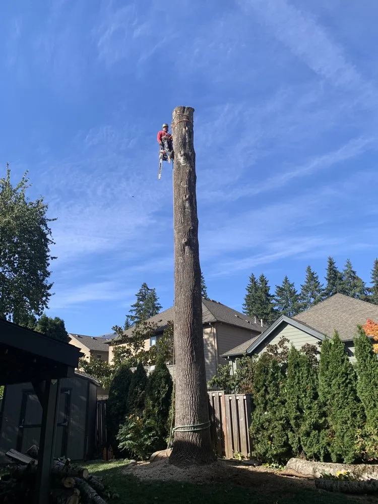 Custom lawn mowing service for residential properties across Hillsboro, OR - Madrone Tree Service & Landscape Maintenance