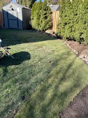 Madrone Tree Service & Landscape Maintenance Logo