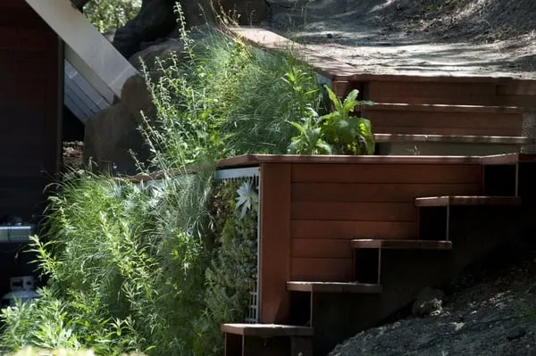 Madroño Landscape Design Studio Logo