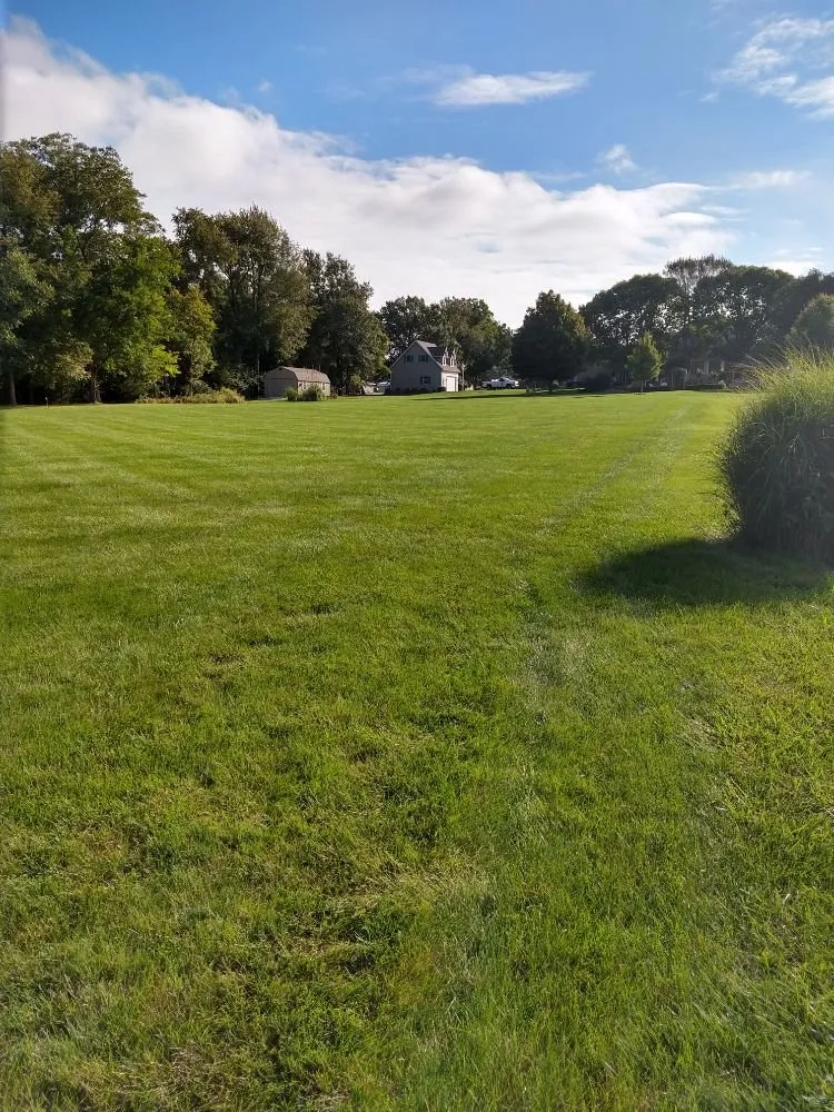 Custom outdoor landscaping for homes across Quincy, IL - Madsen Lawn Treatment