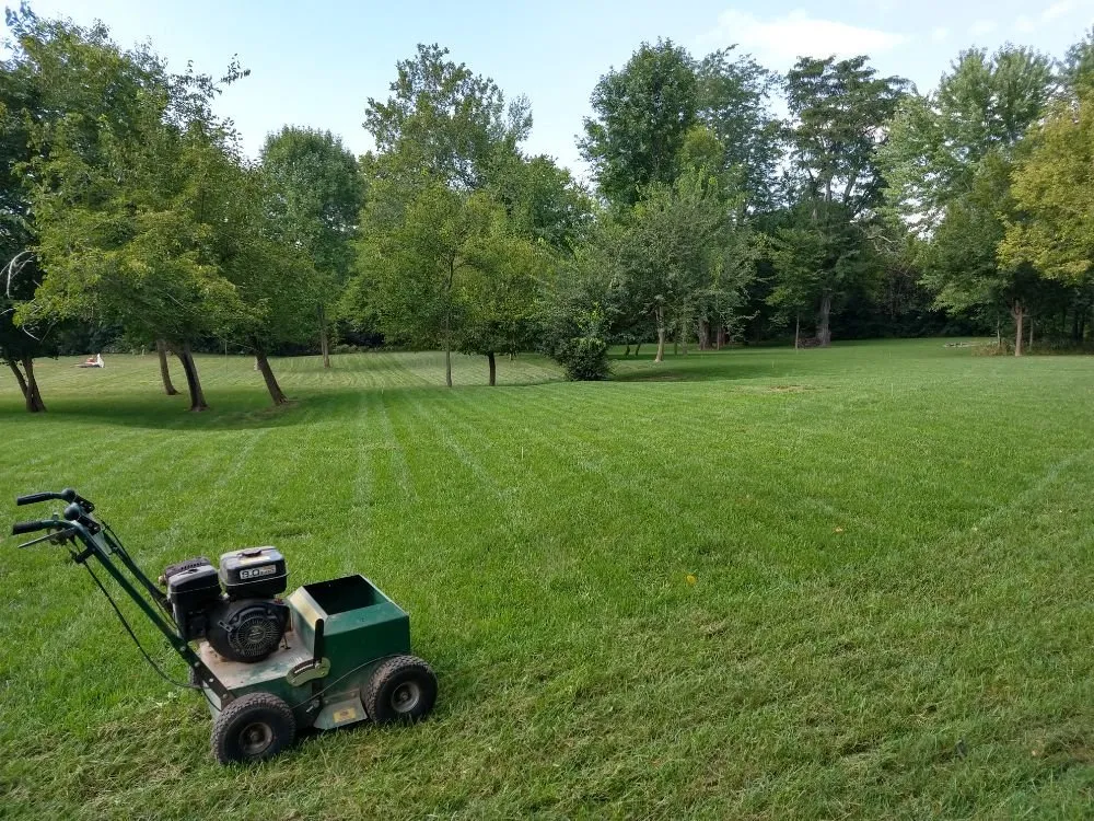 Top-rated outdoor landscaping for homes in Quincy, IL by Madsen Lawn Treatment