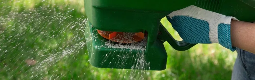 Professional lawn care service for beautiful yards across Gainesville, FL - Madson Lawn & Landscaping