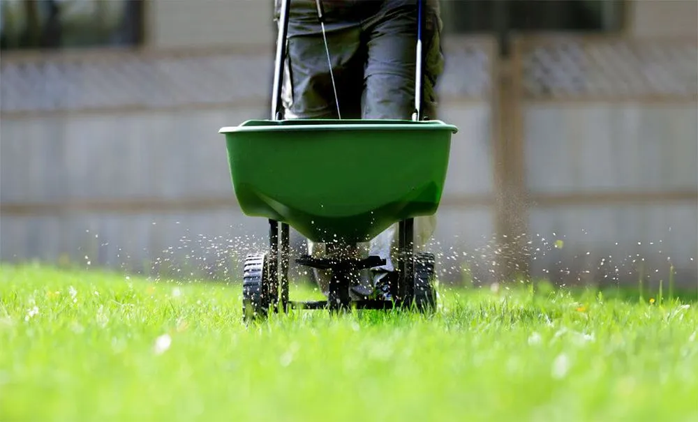 Affordable landscaping services in Gainesville, FL - Madson Lawn & Landscaping