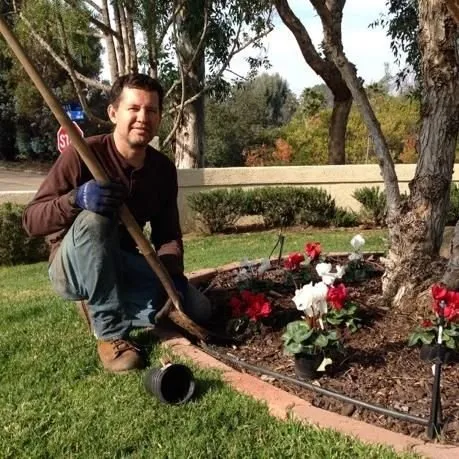 Custom yard maintenance in Gainesville, FL by Madson Lawn & Landscaping