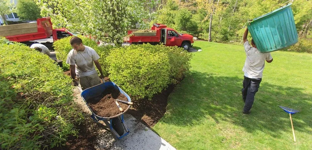 Professional landscaping services near you in Gainesville, FL by Madson Lawn & Landscaping