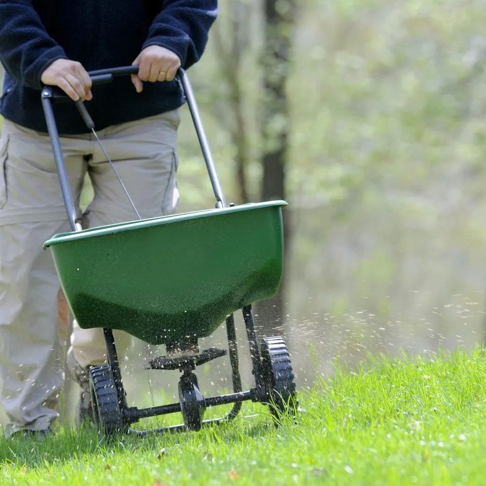 Expert landscape installation for beautiful yards across Gainesville, FL - Madson Lawn & Landscaping