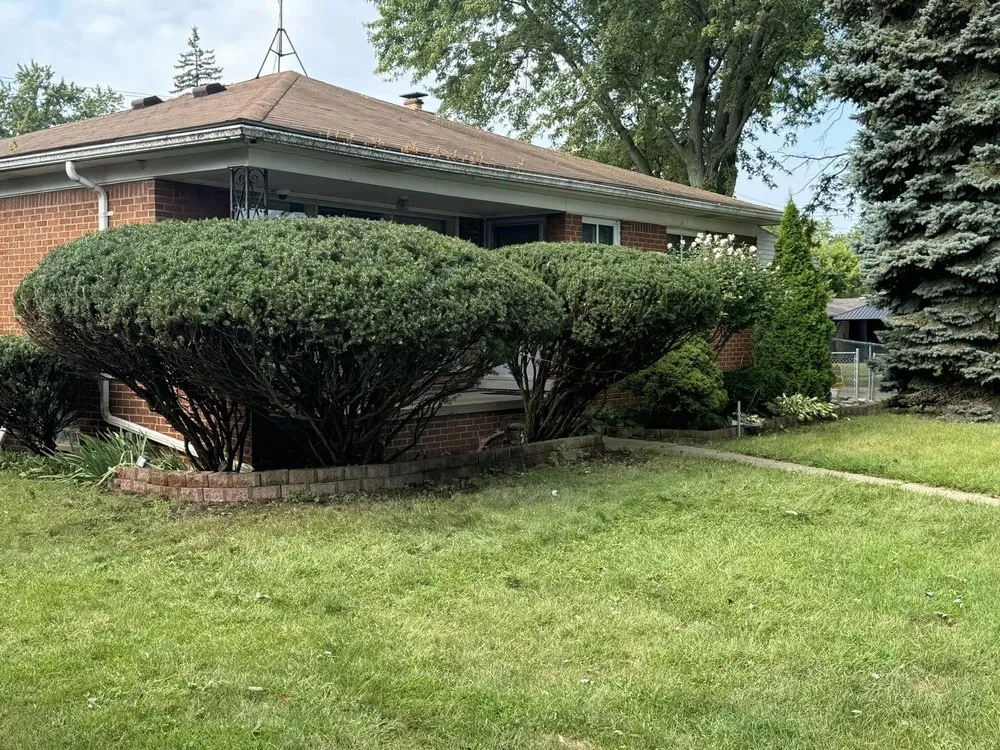 Reliable lawn mowing service experts serving Gainesville, FL - Madson Lawn & Landscaping