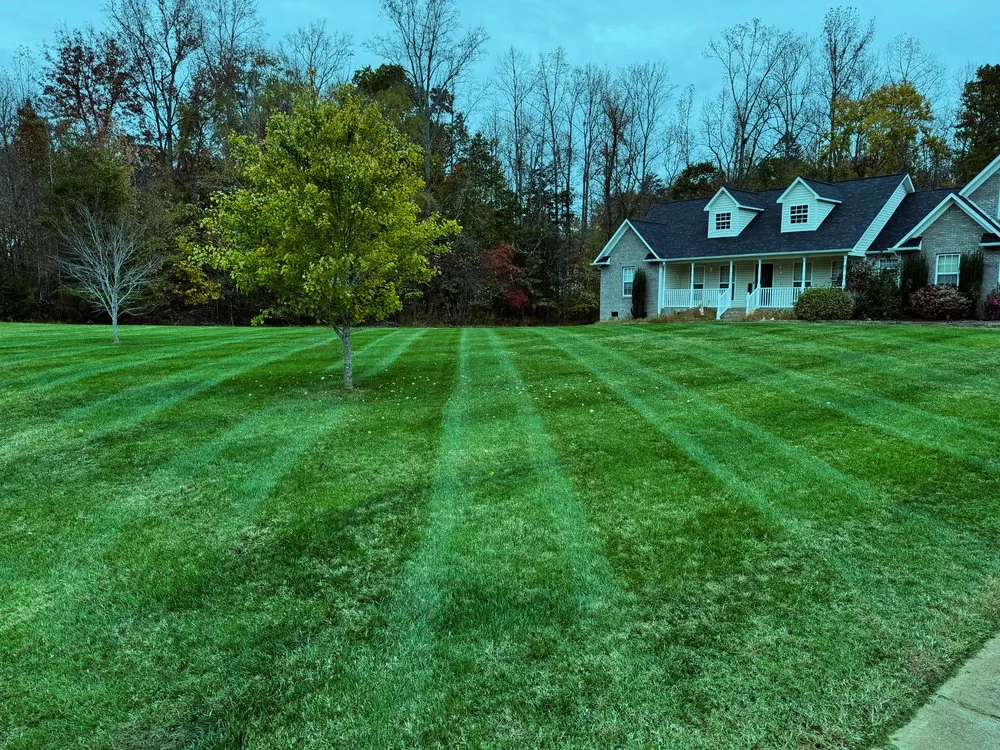 Local garden landscaping in Gainesville, FL - Madson Lawn & Landscaping