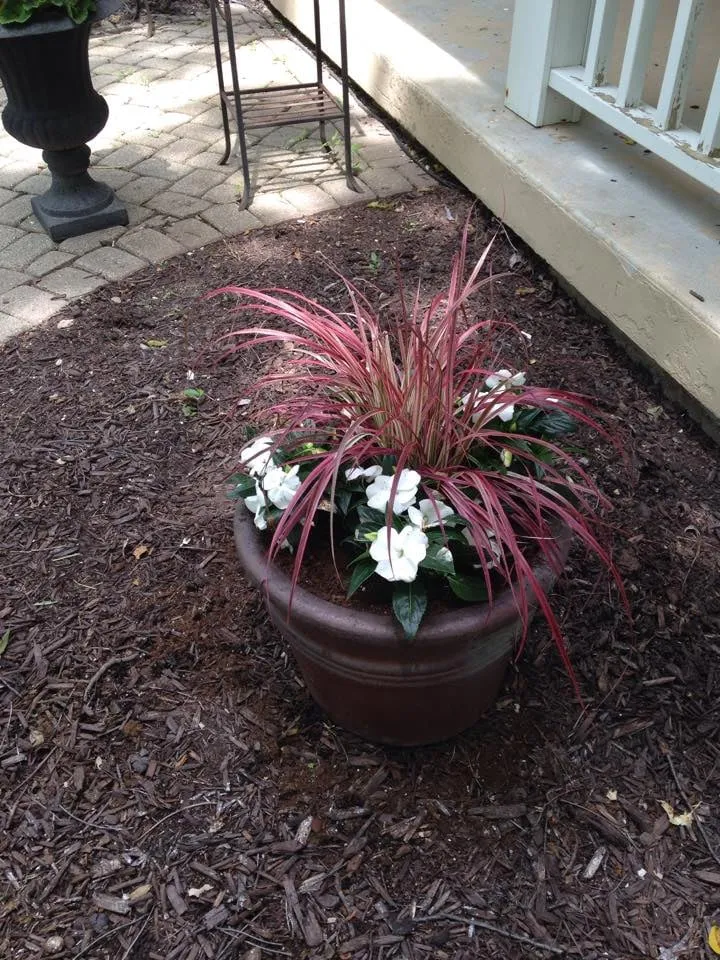 Professional yard maintenance in Madison, WI by Madtown Greenery