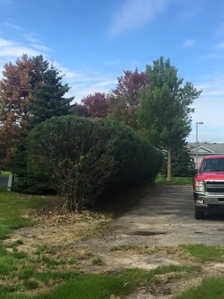 Reliable lawn mowing service in Madison, WI - Madtown Greenery