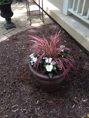 Madtown Greenery Logo