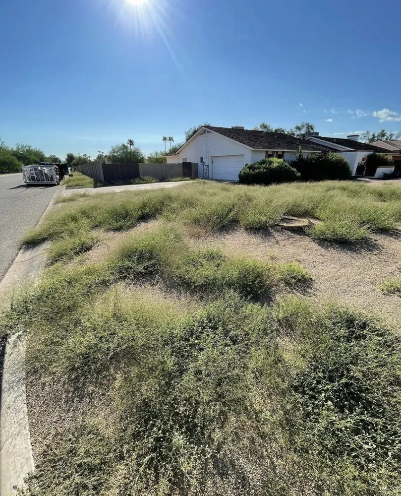 Reliable outdoor landscaping for residential properties in Phoenix, AZ by Madueno’s Landscaping