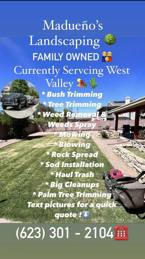 Professional yard cleanup service experts serving Phoenix, AZ - Madueno’s Landscaping