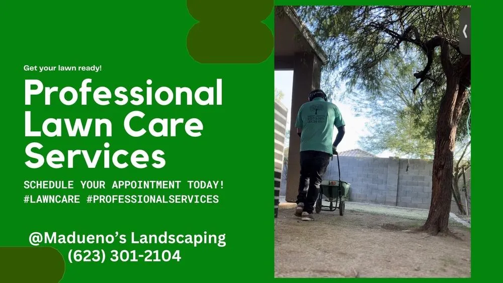 Expert landscape design in Phoenix, AZ by Madueno’s Landscaping