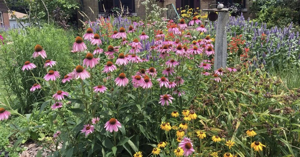 Top-rated lawn mowing service in Denver, CO - Maekin Gardens