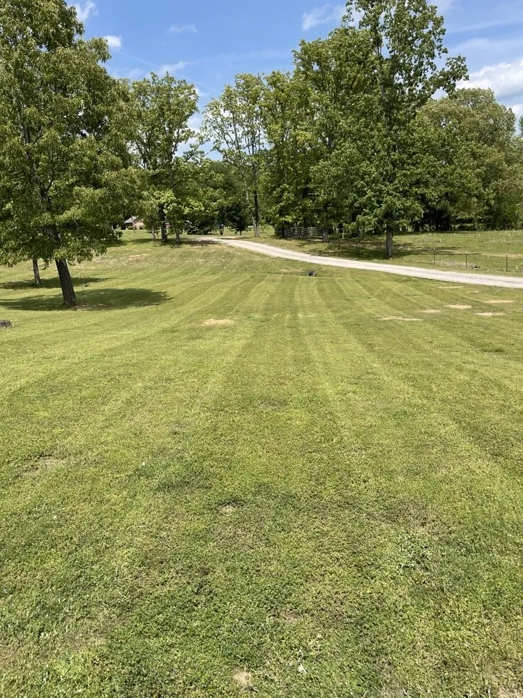 Affordable garden landscaping experts serving Savannah, TN - Mae’s Mowing