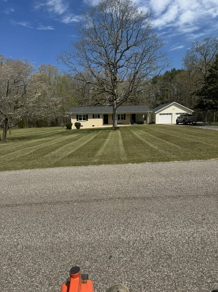 Custom yard cleanup service near you in Savannah, TN by Mae’s Mowing