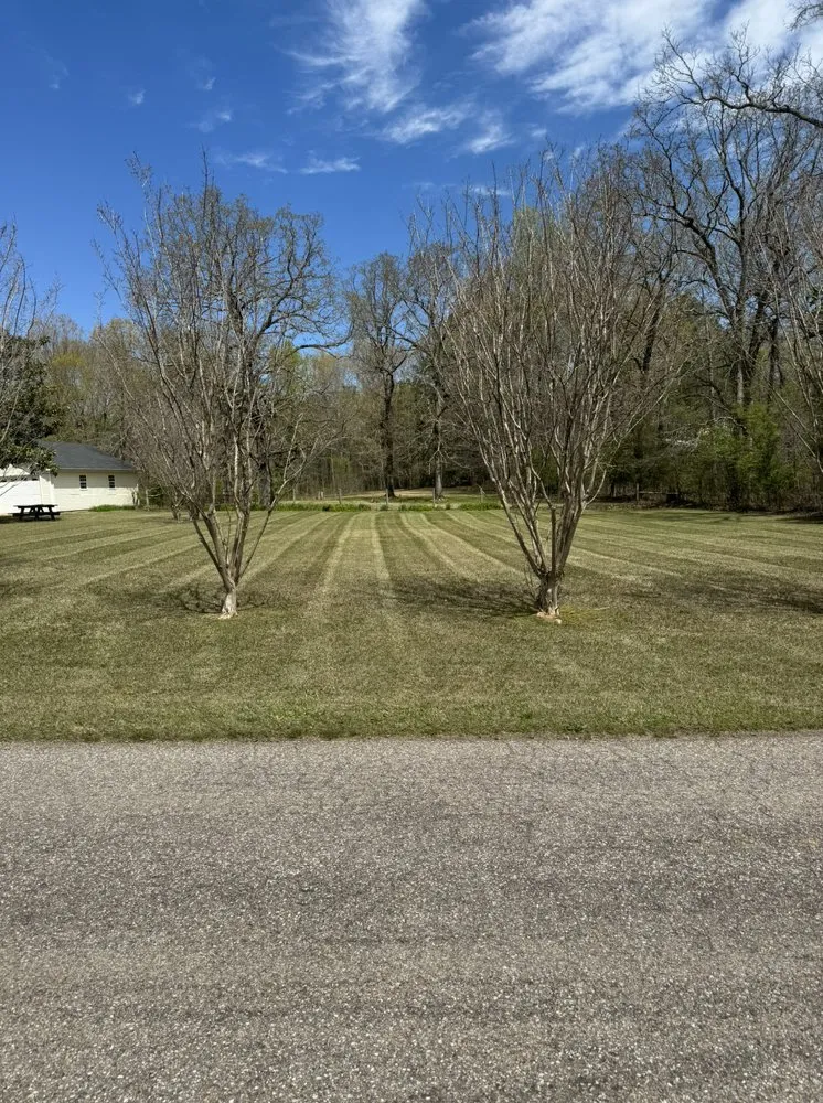 Affordable landscaping services in Savannah, TN by Mae’s Mowing