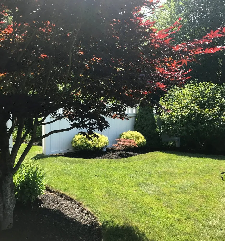 Trusted landscape design for beautiful yards across Andover, MA - Maeve's Garden
