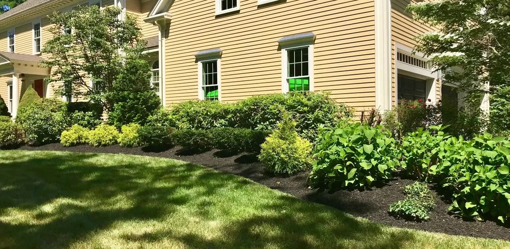 Trusted yard cleanup service in Andover, MA - Maeve's Garden