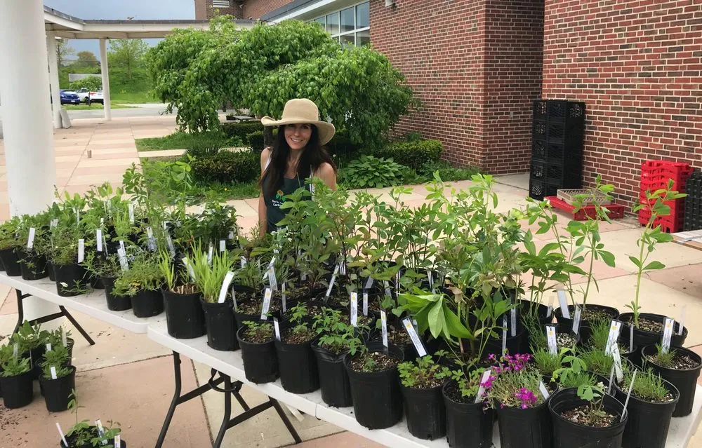 Reliable garden landscaping in Andover, MA - Maeve's Garden