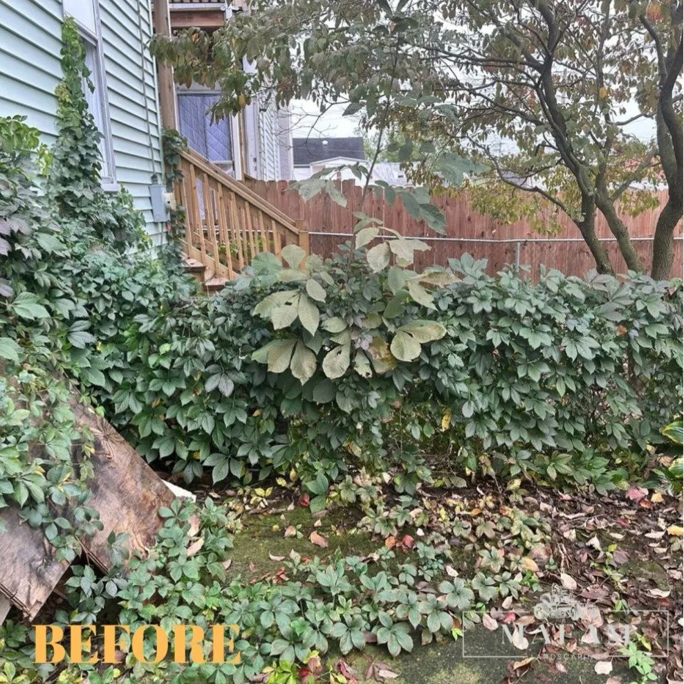 Reliable landscaping services in Frederick, MD - Mafam Landscaping