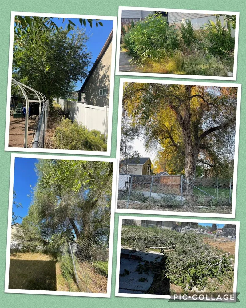 Expert landscape design in West Valley City, UT - Mafi Construction