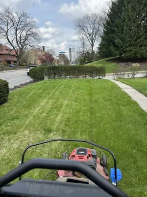 Mafias Lawn Care and Snow Removal