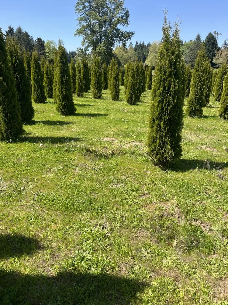 Local residential landscaping for residential properties in Gervais, OR by MAG Landscape