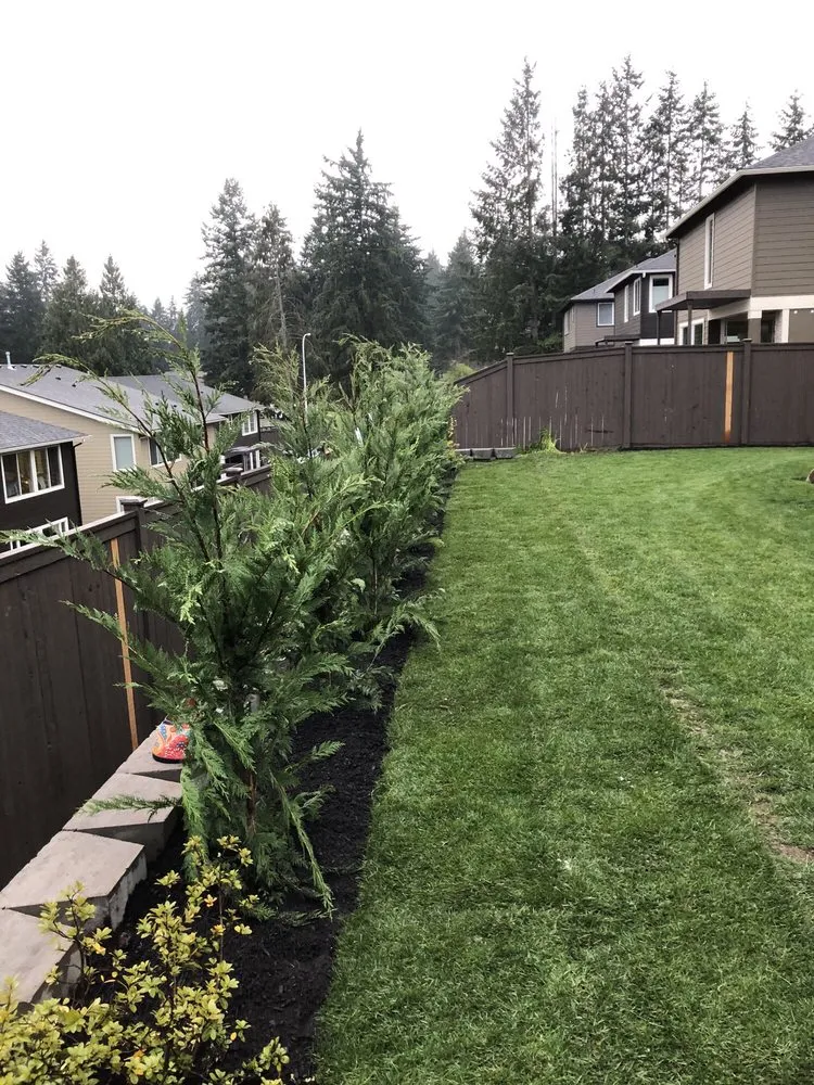 Affordable yard maintenance for beautiful yards across Tacoma, WA - M.A.G landscape