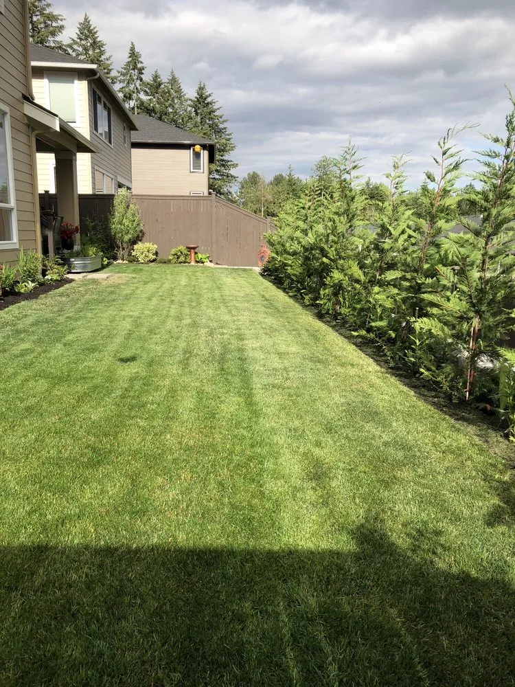 Reliable yard maintenance for outdoor upgrades in Tacoma, WA by M.A.G landscape