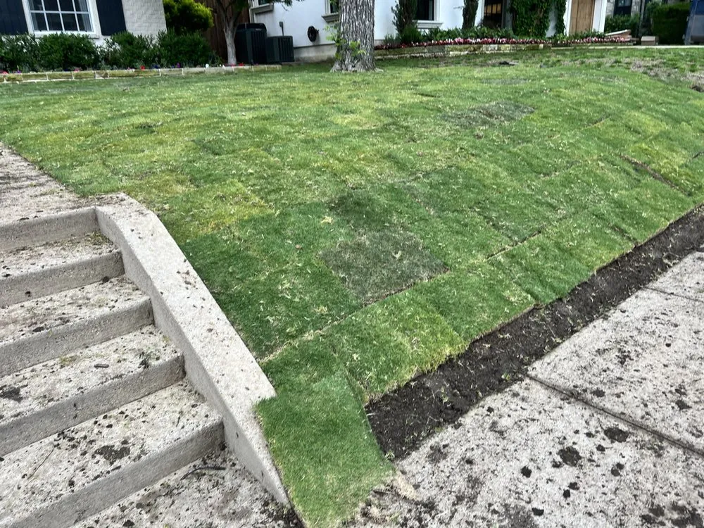 Top-rated landscape installation experts serving Garland, TX - MAG Landscaping