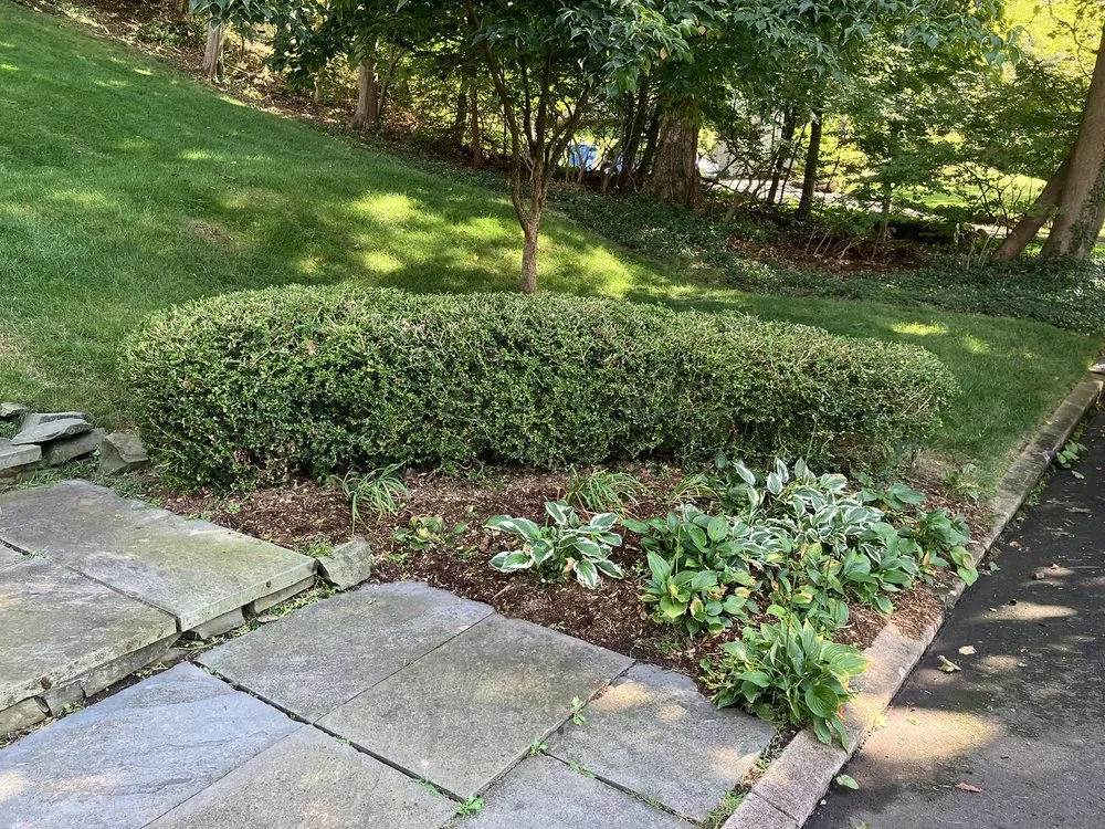 Reliable lawn mowing service in Monroe, CT by MAG Landscaping